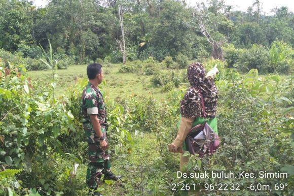 Babinsa Koramil 01 Simtim Tinjau Lahan Rencana Penanaman Jagung