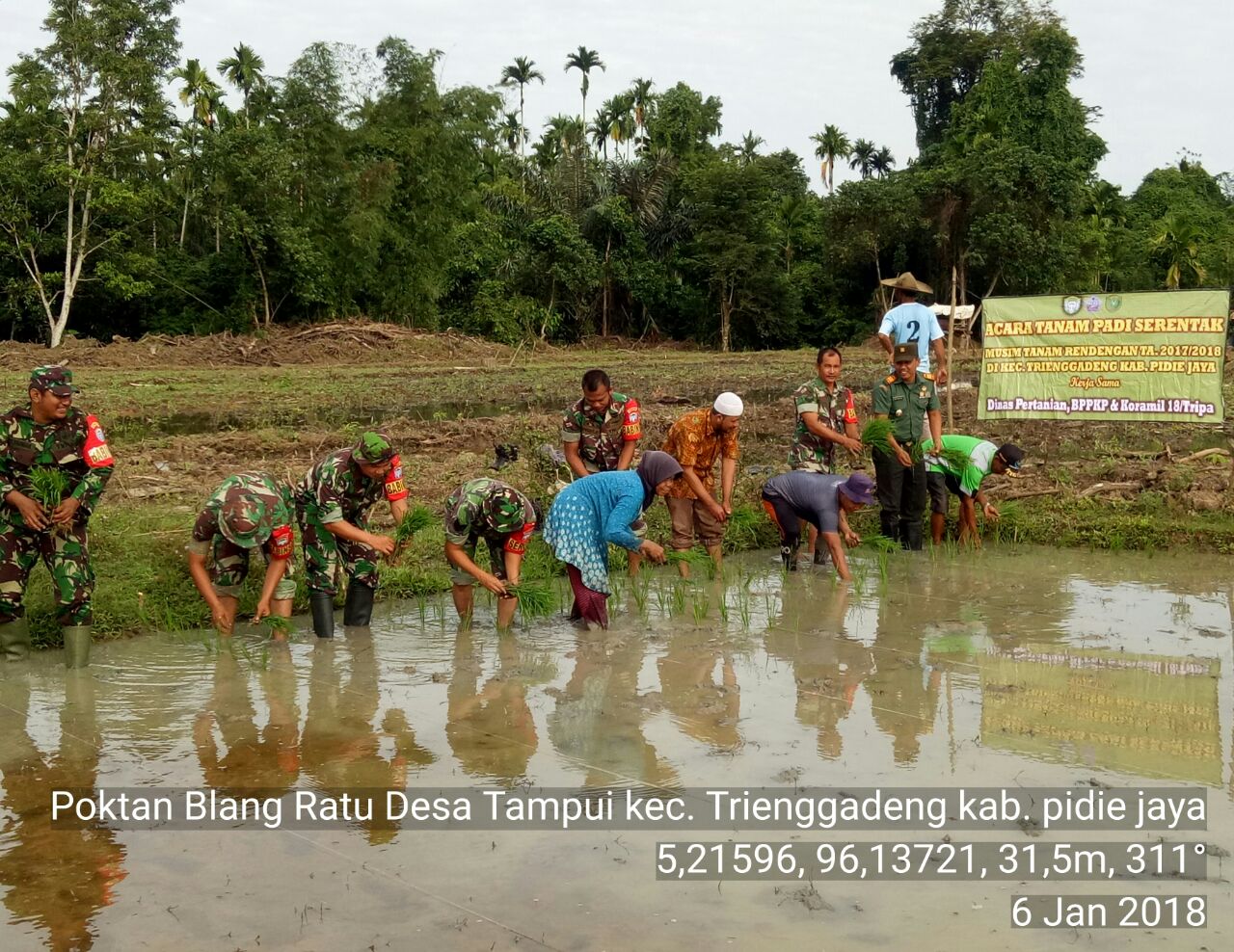 Koramil 18/Trienggadeng Bersama Kelompok Tani Balang Ratu Tanam Padi Perdana di Lahan Cetak Sawah Baru