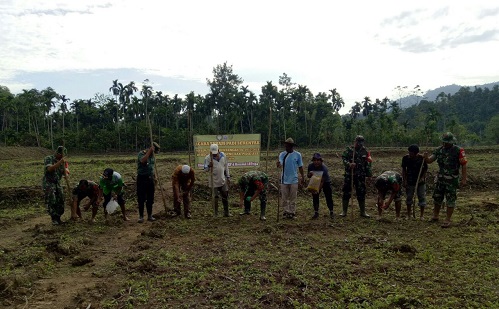 Koramil 18/Trienggadeng Bersama Kelompok Tani Balang Ratu Tanam Padi Perdana di Lahan Cetak Sawah Baru