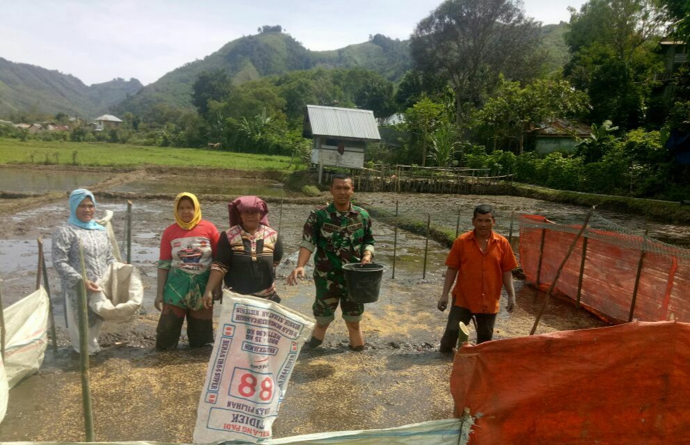 Babinsa Pegasing Bantu Petani Semai Bibit Padi
