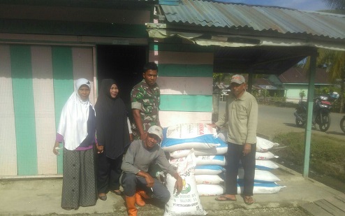 Babinsa 01 Simtim Serahkan Pupuk Bersubsidi Kepada Kelompok Tani