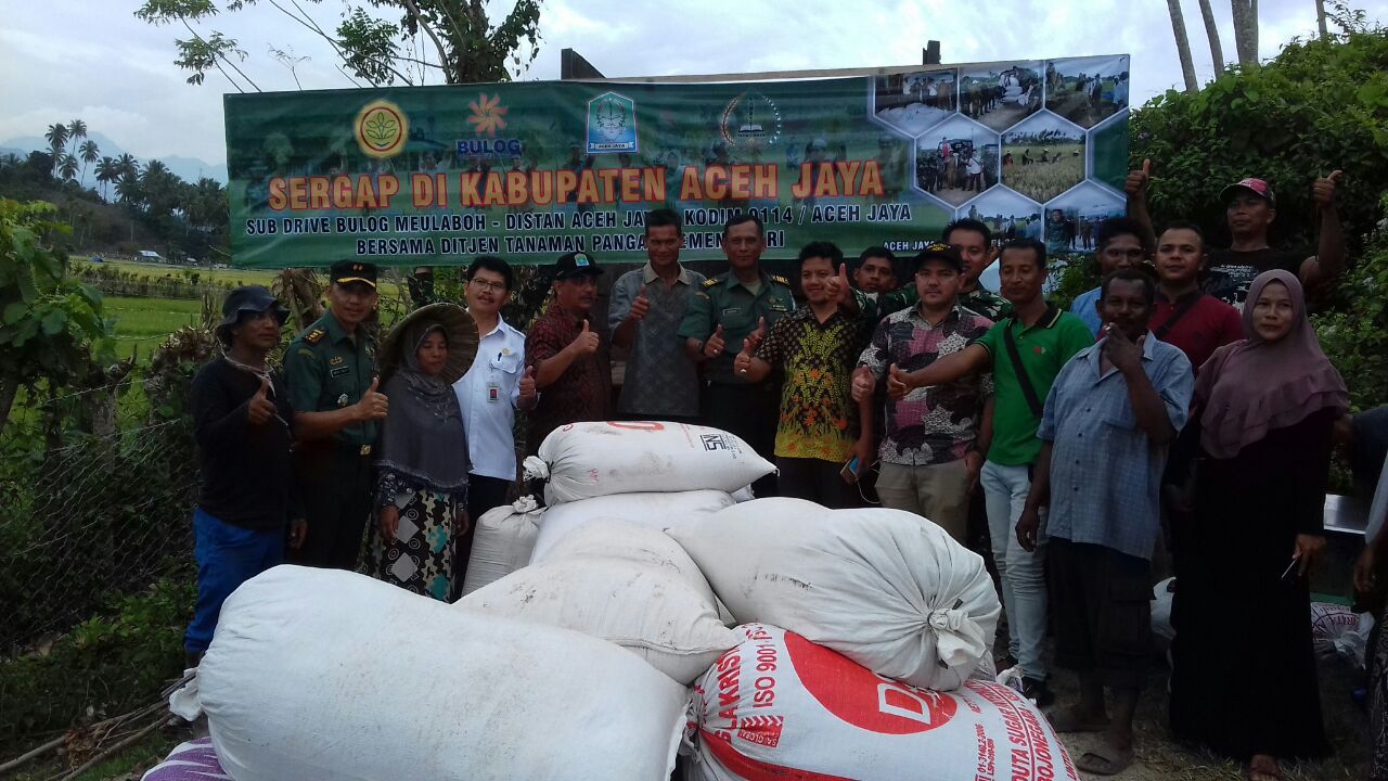 Bersama Bulog Dandim 0114 Sergap Gabah  di Wilayah Kab Aceh Jaya
