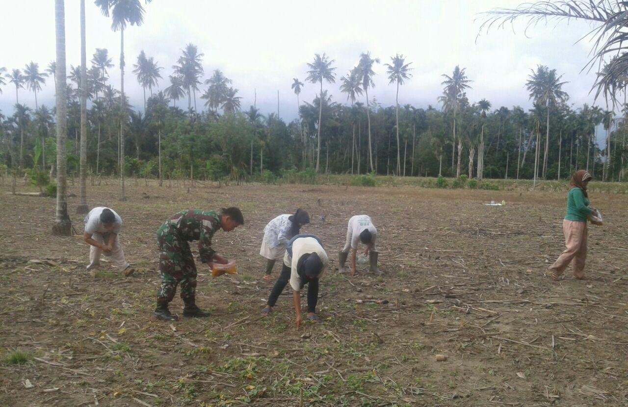 Babinsa Agara Ciptakan Kebersamaan dalam Sukseskan Swasembada Pangan