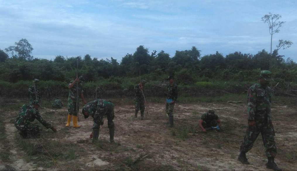 Sempat Terendam Banjir, Babinsa Koramil Trumon Kembali Bersihkan Lahan Cetak Sawah Baru