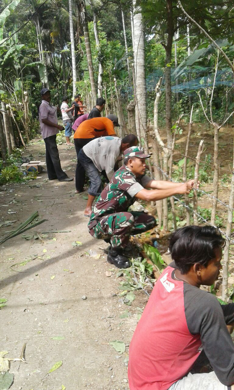 Babinsa Koramil Simpang Tiga, Ikut Bantu Warganya Gotong Royong