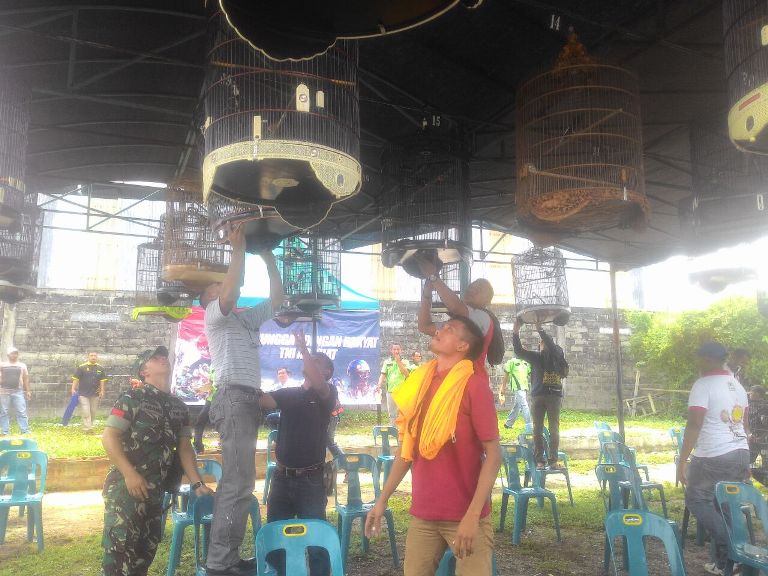 Festifal Dan Kompetisi Burung Berkicau Piala Dandenbekang 00-44-01 MBO