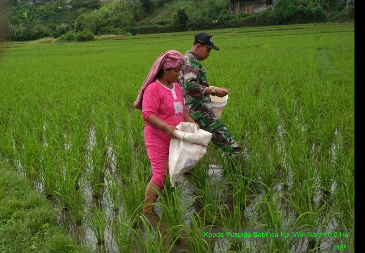 Babinsa Wih Naren Kawal Petani