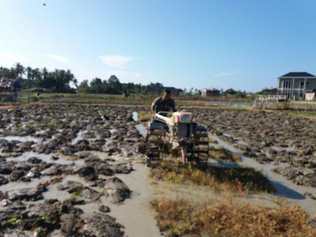 Babinsa bantu bajak sawah, petani Sumringah