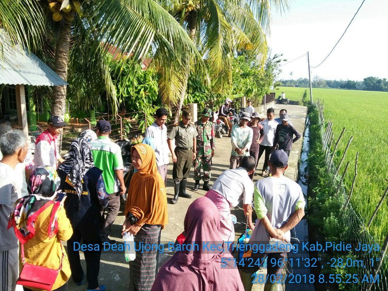 Koramil 18/Trienggadeng bersama BPP, PPL dan Poktan Barona Semprot Hama Wereng Tahap ke Dua