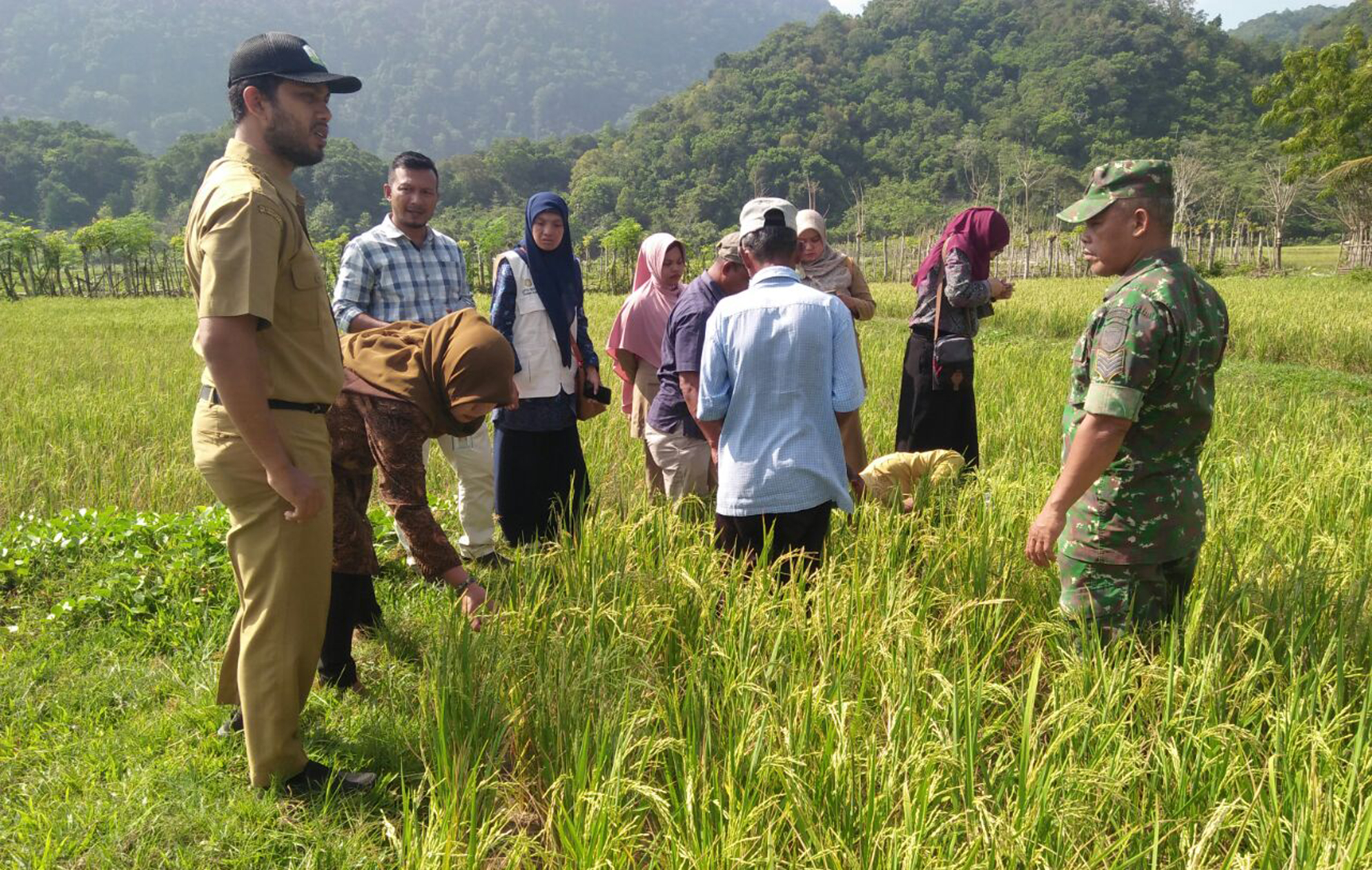 Babinsa dan Rombongan Dirjen Kementan Tinjau Lahan Kering