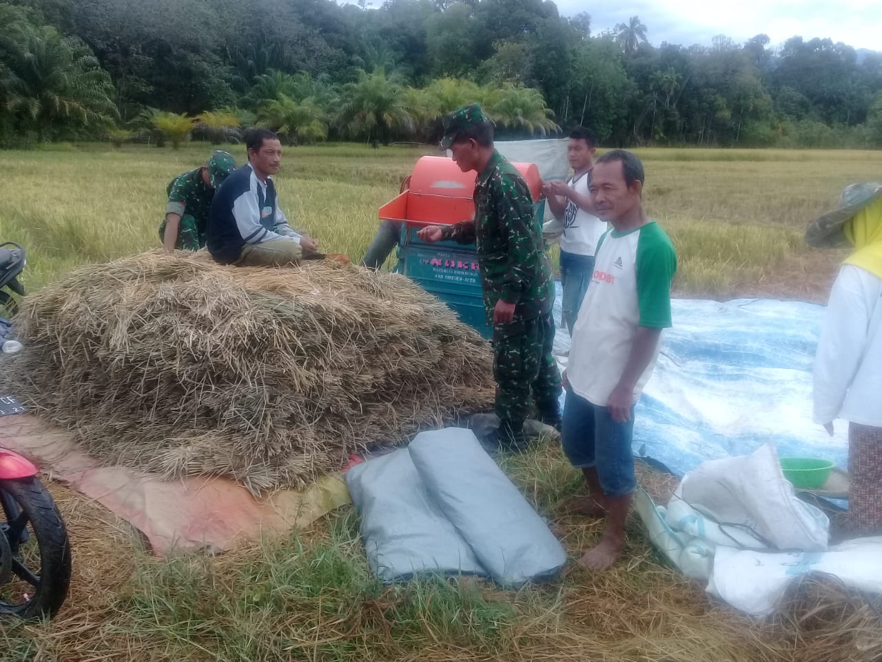 Petani Ladang Panah Sanjung Babinsa Koramil 06/Manggeng