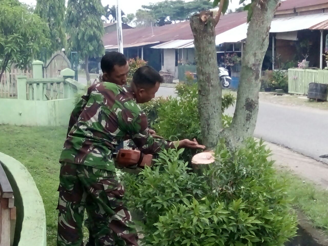 Anggota Koramil 01/Blangpidie Pangkas Pohon yang Membahayakan Pengguna Jalan