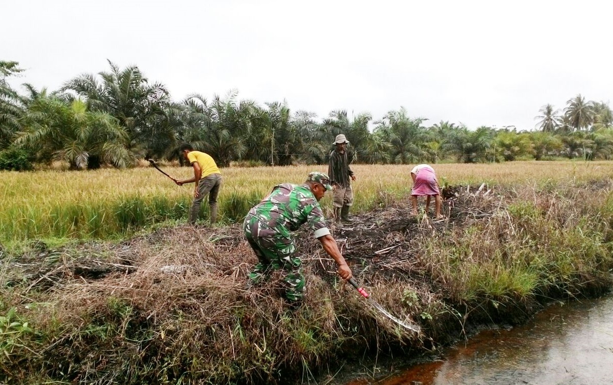 Cetak Sawah Baru:Babinsa Bersama Poktan Bersihkan Pematang Sawah
