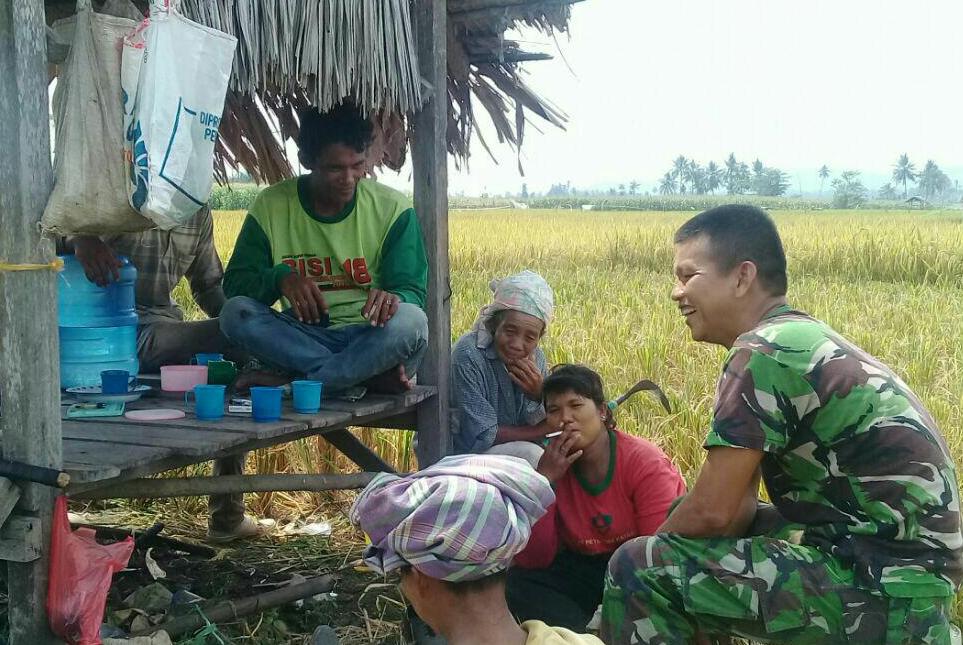 Kecerian Petani, Dapat Terbantu Melalui Pendampingan Babinsa