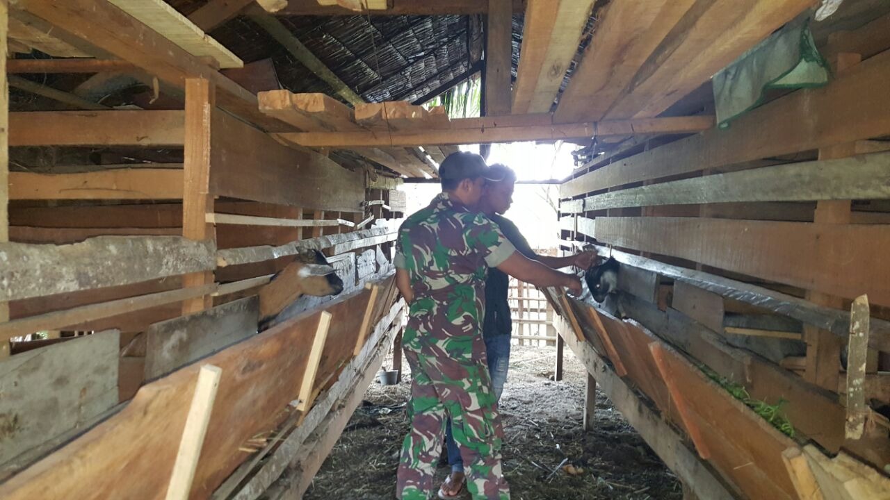 Babinsa Ramil 13/Plkt Silaturahmi ke Peternakan Kambing