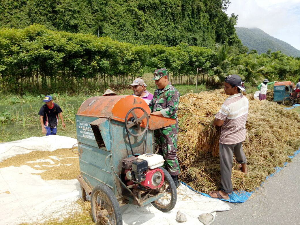Upaya Serka Beni Aryadi Wujudkan Hanpangan, Masih Terus Bantu Para Petani Warga Desa Binaannya