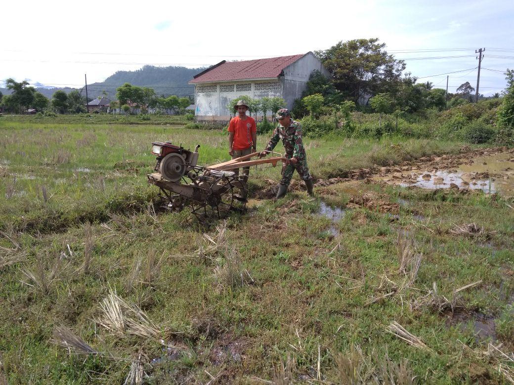 Babinsa Koramil 01/Lamno Bantu Petani Bajak Sawah