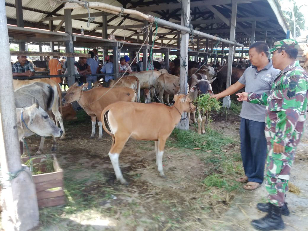 Jelang Tradisi Meugang di Aceh, Serka Heri Pantau Pasar Hewan Ternak di Wilayah Binaannya