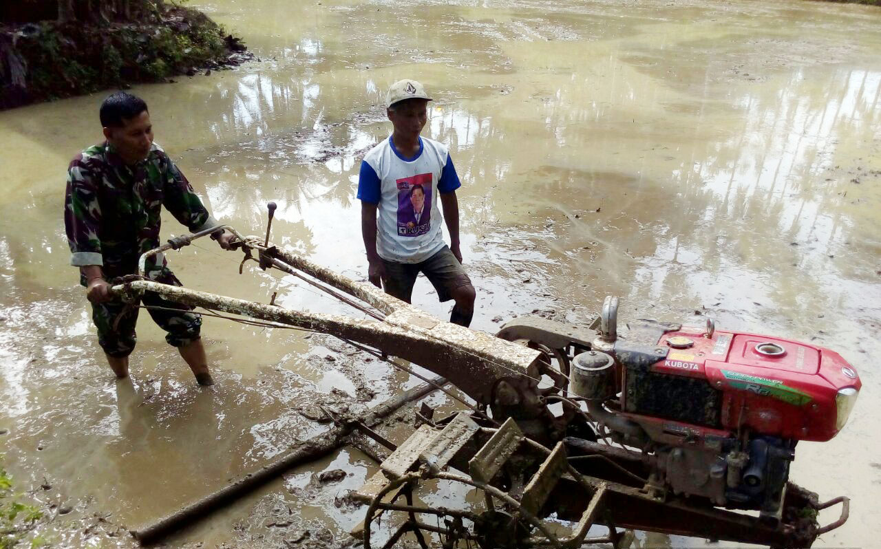 Babinsa Bajak Sawah Warganya Dengan Mesin Hand Traktor