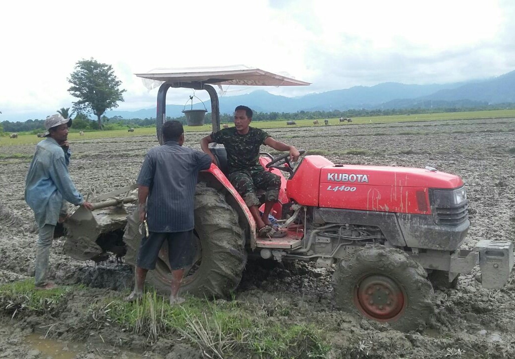 Babinsa Pos Ramil 09/LS Bajak Sawah