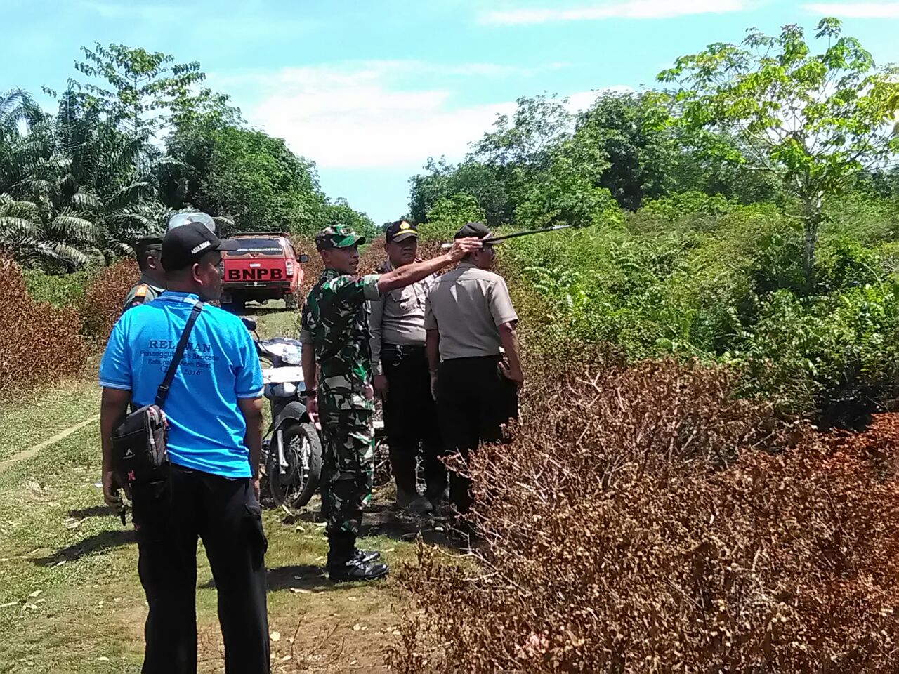 Dandim tinjau Lokasi Kebakaran Lahan dan Kerahkan Pasukan Padamkan Api