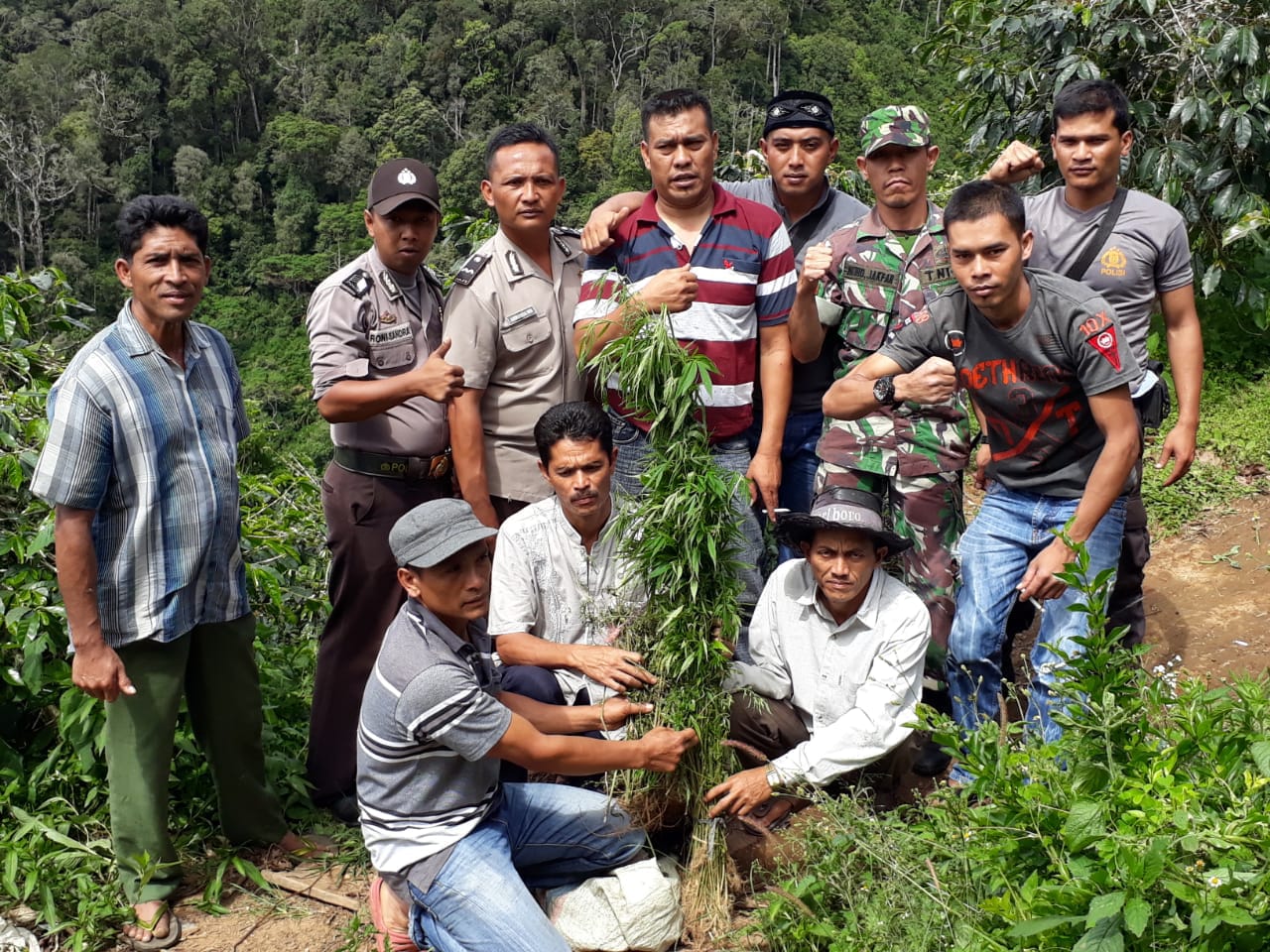 Babinsa Koramil 09/PRG dan Polisi Temukan Ratusan Tanaman Ganja