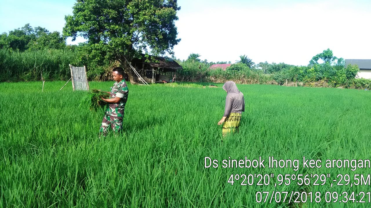 Serda Joko Turut Aktif Bantu Petani Atasi Hama Rumput