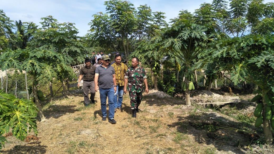 Pangdam IM Sambangi Aceh Jaya, Tinjau Lahan Pertanian dan Kebun Pepaya