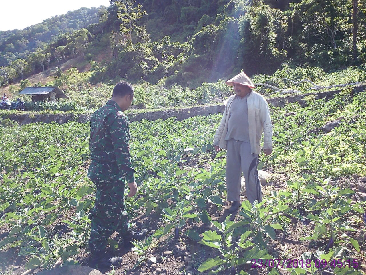 Babinsa Koramil 02/Sukakarya Dampingi Petani Sayuran