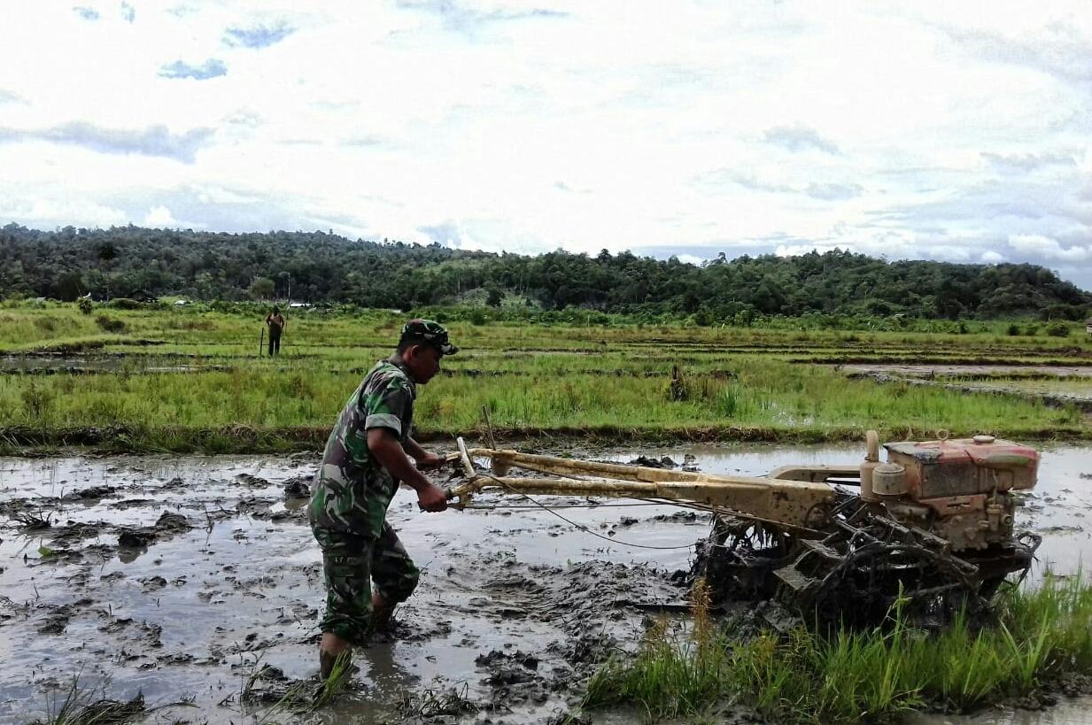 BABINSA LAGEUN BANTU BAJAK SAWAH PETANI