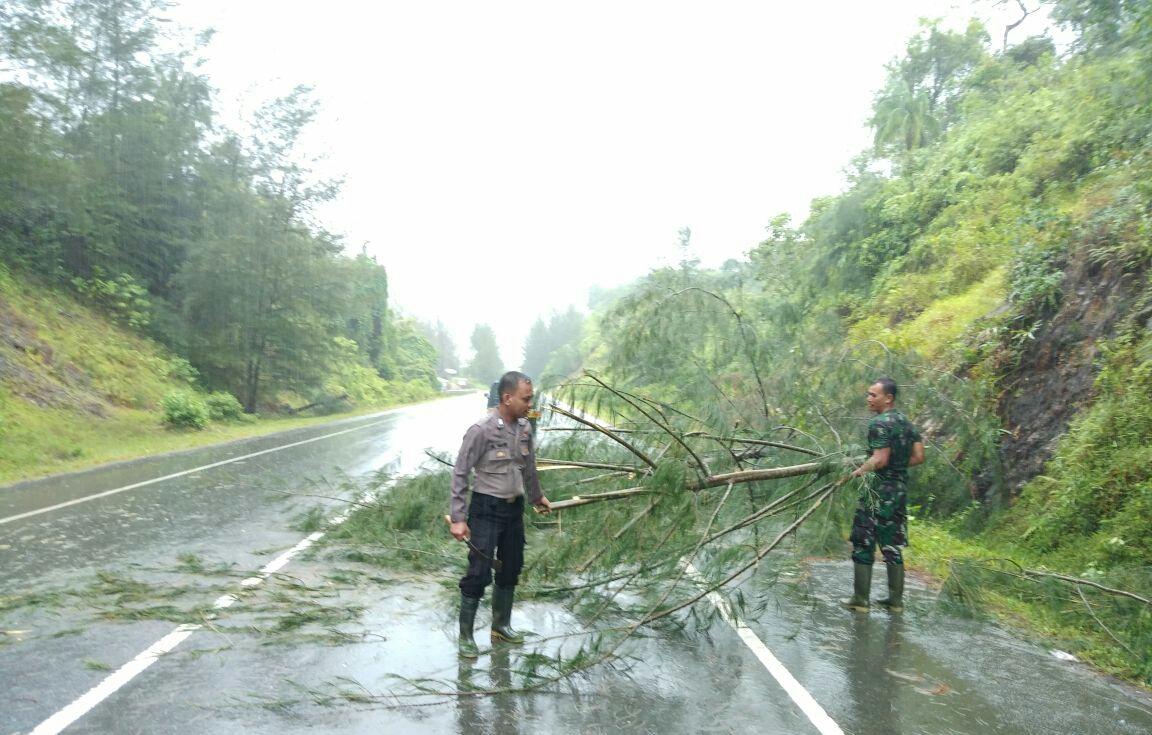 TNI dan POLRI Bersihkan Pohon Tumbang di Jalan Nasional