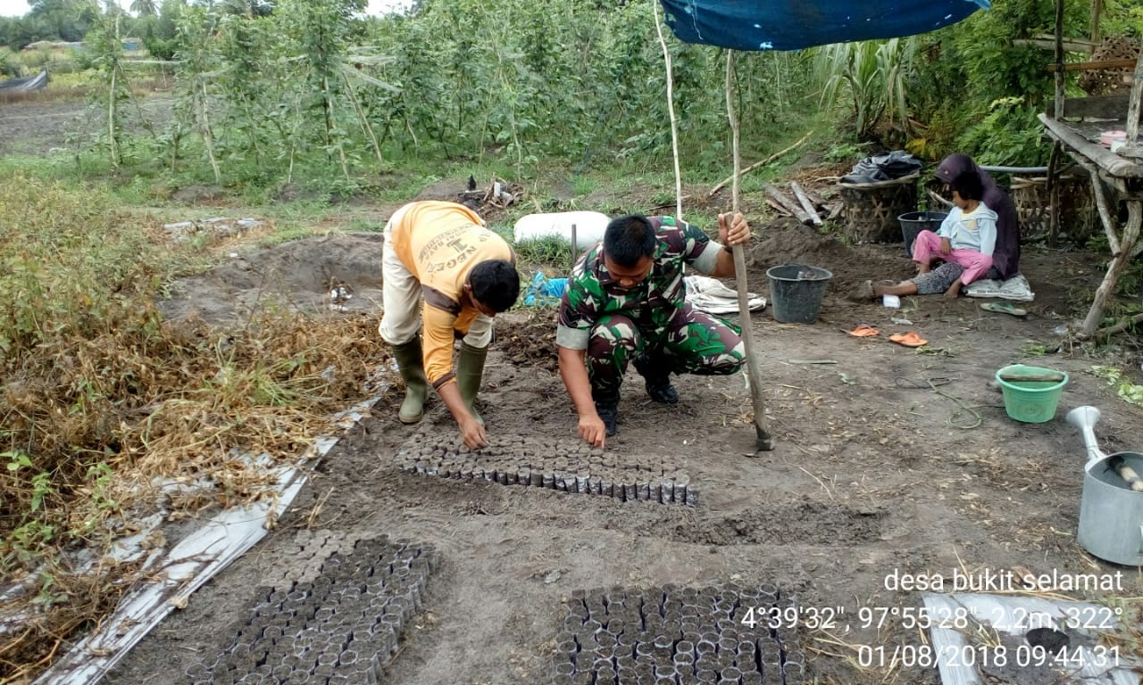 Sertu Miswadi Ajarkan Pembuatan Bibit Cabai yang Berkualitas kepada Petani