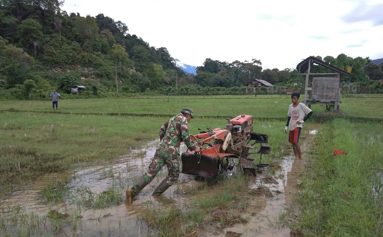 BABINSA LAMNO BANTU PETANI BAJAK SAWAH