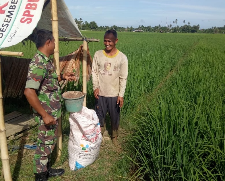 Dengan Ramah Babinsa Koramil 04/Susoh Ulurkan Tangan Bantu Petani