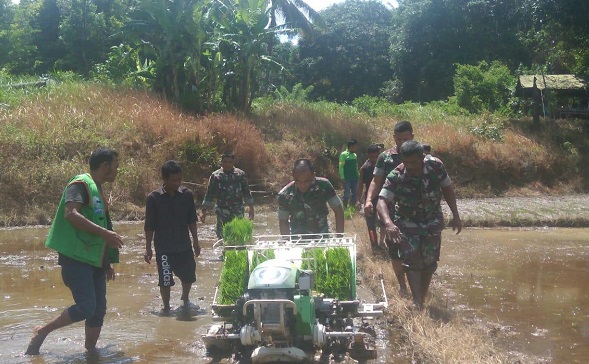 Dandim Aceh Selatan Operasikan Mesin Tanam Padi