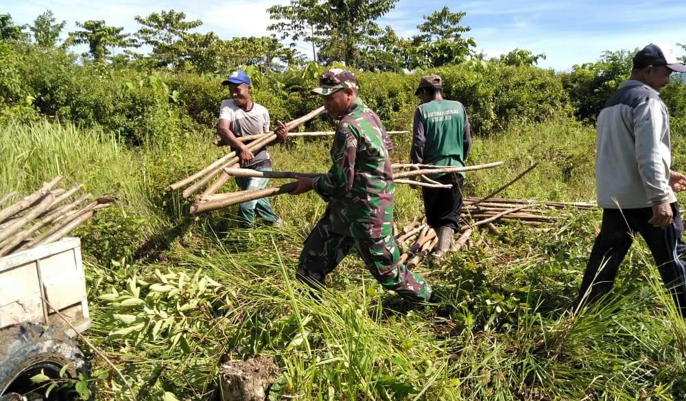 Babinsa Posramil Darul Hikmah Bantu Petani Pasang Pagar Sawah