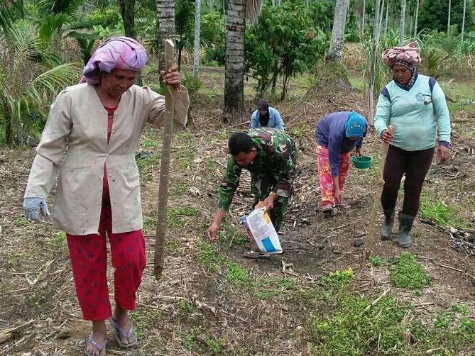 Babinsa Gencar Swasembada Pangan Jagung