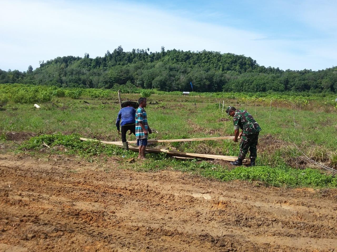 Perlu Tempat Berteduh, Babinsa Darul Hikmah Bantu Petani Dirikan Gubuk