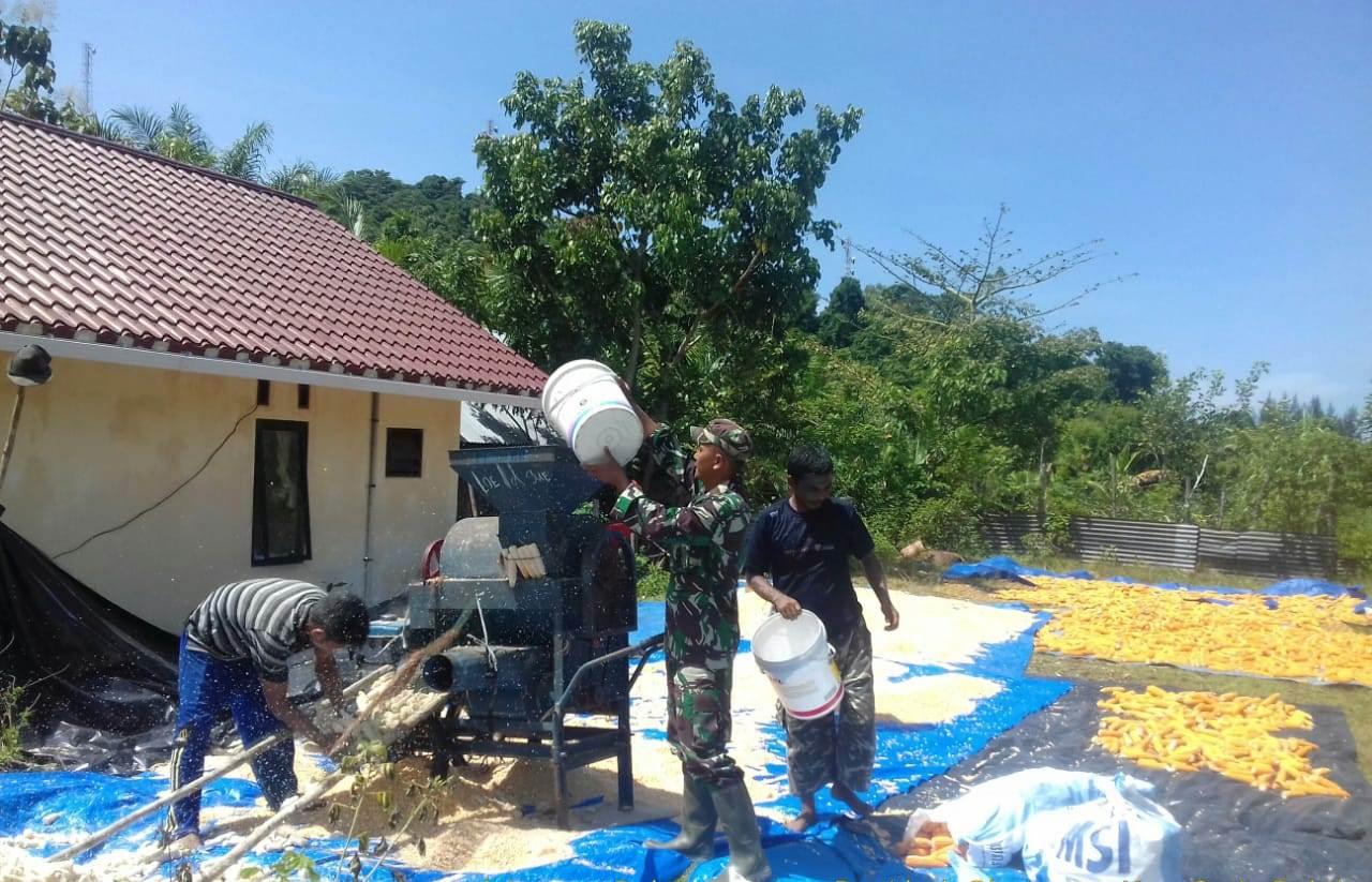 Pasca Panen, Sertu Parwoto Bantu Warga Rontokkan Jagung