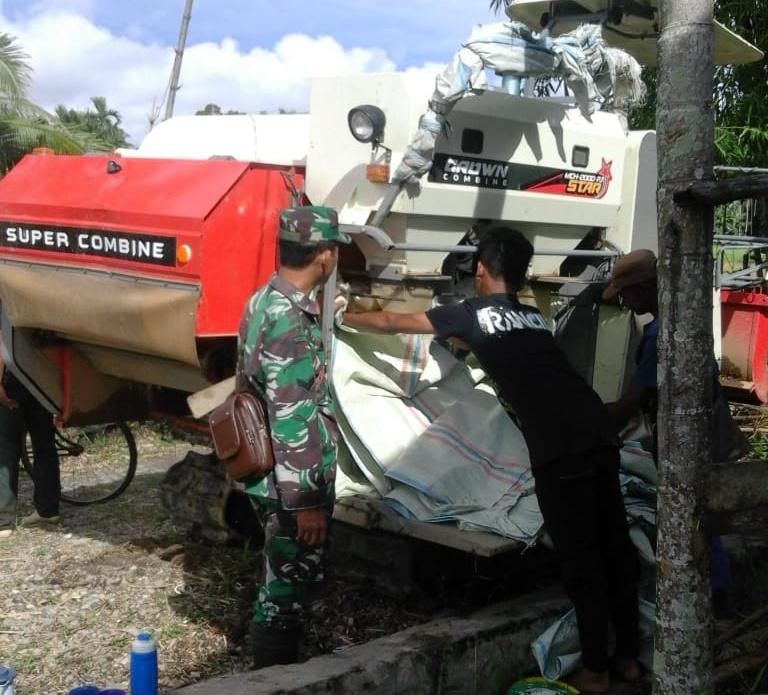 Jelang Musim Panen, Babinsa Koramil 02/Kuala Batee Cek Kesiapan Komben