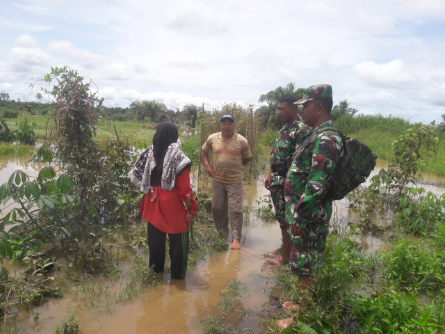 Danramil 06/Singkohor Tinjau Sawah Yang Terkena Dampak Banjir