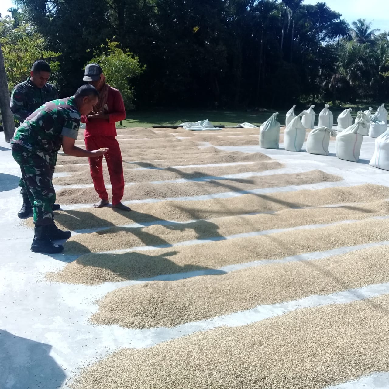 Saat Komsos ke Wilayah, Danramil 05 Terima Apresiasi para Petani