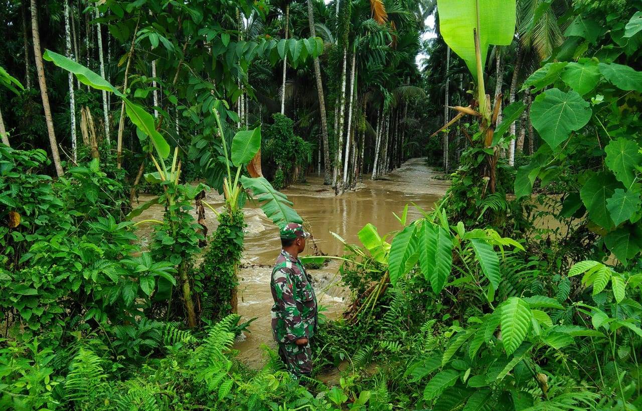 Tanggul Jebol, Babinsa Koramil Teunom Pantau Kondisi Banjir