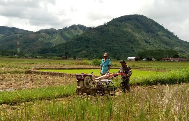 Babinsa Tingkatkan Program Upaya Khusus Padi Jagung Kedelai