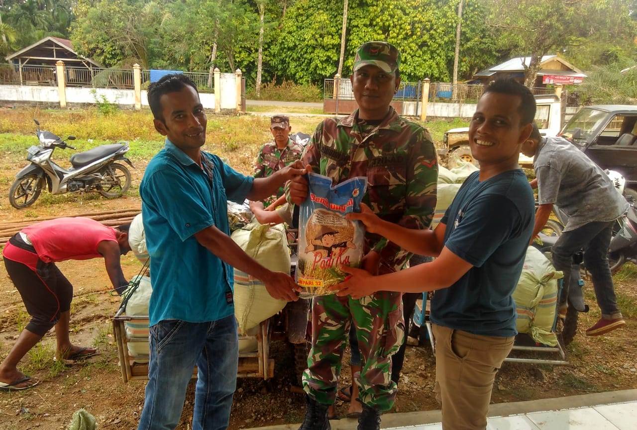 Babinsa Darul Hikmah Bantu Bagikan Bibit Padi Untuk Petani