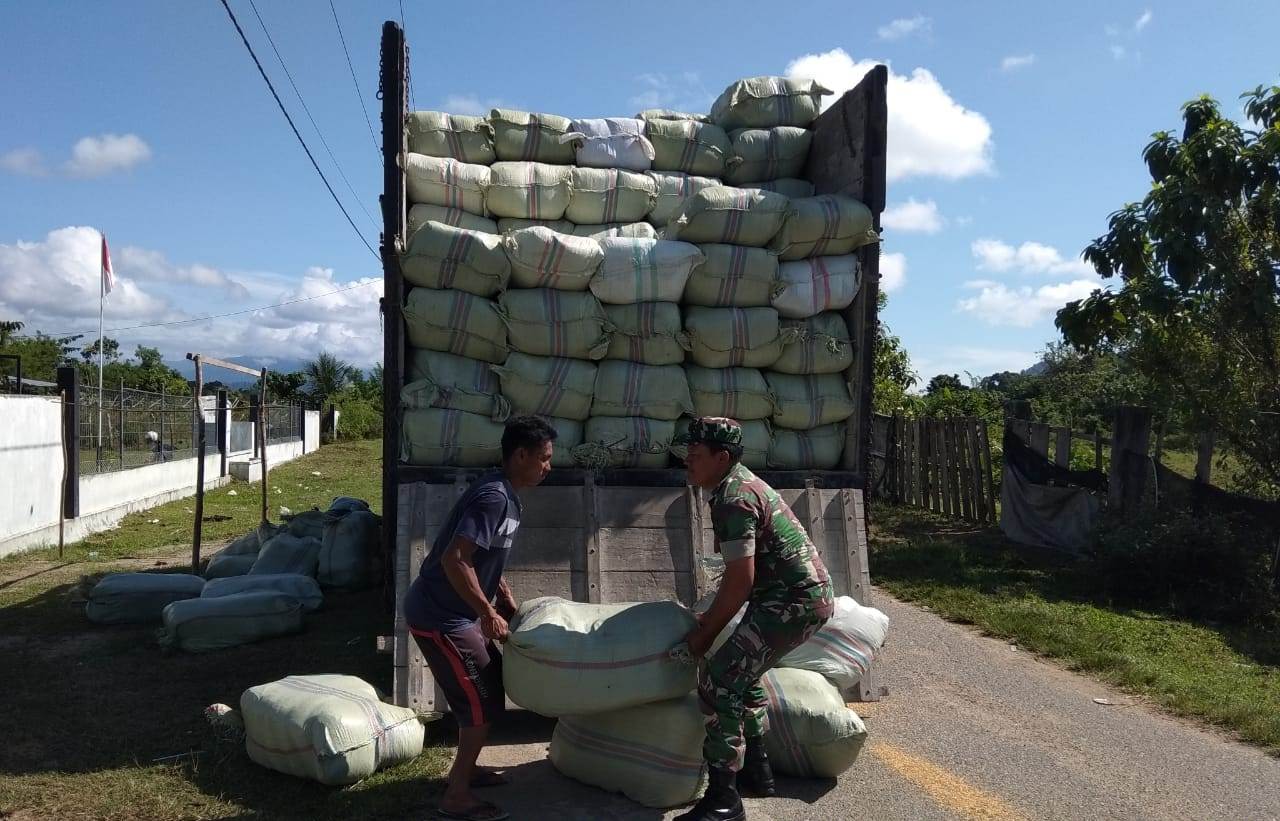 Serka Joko Pantau Penyaluran Bibit Padi Bantuan