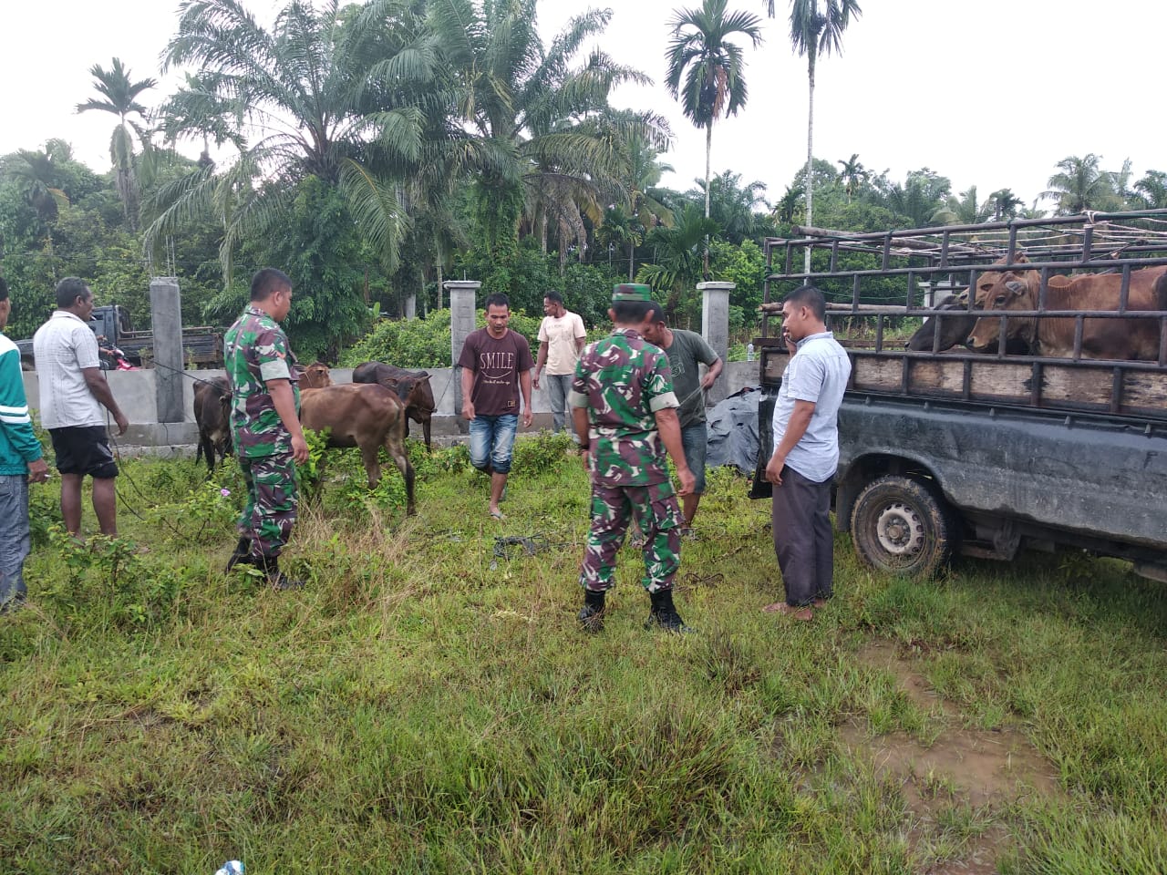 Koramil Lhok Kruet Dampingi Penyaluran Sapi Bantuan Untuk Warga di Desa Terpencil