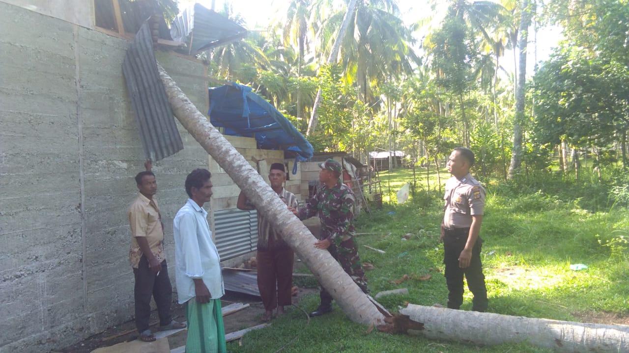 Rumah Kakek Idris Ditimpa Pohon Kelapa, Babinsa Turun Bantu Evakuasi