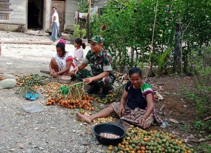 Babinsa Kuala Batee Komsos dengan Petani Pinang