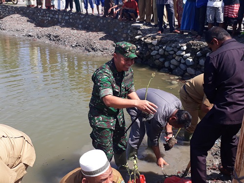 Dandim Pidie Tanam Pohon Mangrove